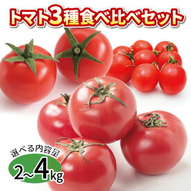【ふるさと納税】 トマト ミニトマト 選べる容量 2kg 4kg 3種 食べ比べ セット 冷蔵 詰め合わせ 千果 フルティカ かれん 野菜 糖度 果物 パスタ スパゲティー ソース サラダ ドレッシング 鍋 サンドイッチ ギフト 贈答 お取り寄せ グルメ 送料無料 徳島県 阿波市
