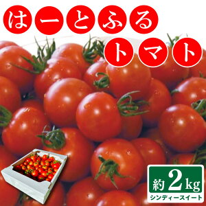 yӂ邳Ɣ[Łz g}g  2kg VfB[XC[g ́[Ƃӂg}g  ₳ g}g ~fBg}g W[X pX^ XpQeB[ \[X T_ hbVO ThCb` no