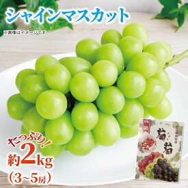 【ふるさと納税】 シャインマスカット 約 2kg 3から5房 《2025年7月下旬から順次発送》 ぶどう 葡萄 フルーツ 果物 冷蔵 贈答用 化粧箱 内祝い 内祝 お祝い 御祝い 御祝 お礼 御礼 プレゼント ギフト 贈り物 徳島県 阿波市