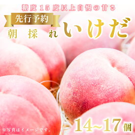 【ふるさと納税】 桃 もも 果物 フルーツ 朝採れ 先行予約 いけだ 14～17個 糖度 15度 以上 徳島県 阿波市