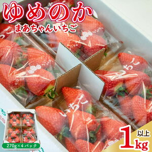 yӂ邳Ɣ[Łz  ߂̂ Iׂe 500g`1kg  Xgx[ ʕ t[c fU[g XC[c W[X W ACX V[xbg X[W[ [Og Mtg v[g 