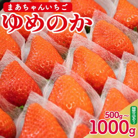 【ふるさと納税】 いちご ゆめのか 選べる容量 500g～1kg 苺 ストロベリー 果物 フルーツ デザート スイーツ ジュース ジャム アイス シャーベット スムージー ヨーグルト ギフト プレゼント 贈答 お取り寄せ グルメ 冷蔵 送料無料 阿波市 徳島県 佐藤農園