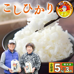 yӂ邳Ɣ[Łz  Ђ  Pi  5kg Iׂ  ߘa7NY    ͂ ɂ    Hi ~ ~ ۑ h Mtg  v[