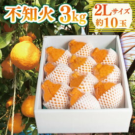 【ふるさと納税】 不知火 3kg 選べるサイズ L～5L 6玉～12玉 しらぬい みかん 蜜柑 果物 フルーツ 柑橘 オレンジ ゼリー ジュース アイス ケーキ デザート スイーツ ジャム 糖度 甘い ビタミン 美容 健康 送料無料 徳島県 阿波市 山中農園