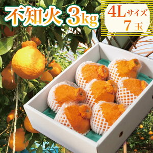 yӂ邳Ɣ[Łz sm 3kg IׂTCY L`5L 6ʁ`12 ʂ ݂  ʕ t[c k IW [[ W[X ACX P[L fU[g XC[c W x Â r^~ 