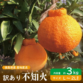 【ふるさと納税】 訳あり 不知火 選べる容量 約3kg 約5kg L～2L しらぬい みかん 蜜柑 果物 フルーツ 柑橘 オレンジ ゼリー ジュース アイス ケーキ デザート スイーツ ジャム 糖度 甘い 不揃い 混合 ビタミン 美容 健康 送料無料 徳島県 阿波市 山中農園
