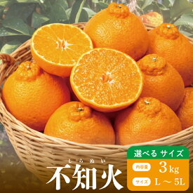 【ふるさと納税】 不知火 3kg 選べるサイズ L～5L 6玉～12玉 しらぬい みかん 蜜柑 果物 フルーツ 柑橘 オレンジ ゼリー ジュース アイス ケーキ デザート スイーツ ジャム 糖度 甘い ビタミン 美容 健康 送料無料 徳島県 阿波市 山中農園
