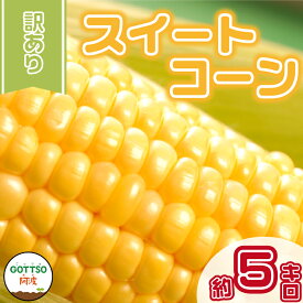 【ふるさと納税】 訳あり スイートコーン 野菜 とうもろこし 約5kg 先行予約 《2024年6月～順次発送》 産地直送 夏野菜 期間限定 数量限定 朝採れ クール便 高糖度 冷蔵 新鮮 2024年 夏 発送 サラダ 徳島県産 阿波市