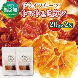 【ふるさと納税】 フルーツ ドライフルーツ トマト ミカン 蜜柑 ミックス 20g 2袋 乾燥 フルーツ お菓子 ダイエット 個包装 贈り物 プレゼント ギフト フルーツライフ