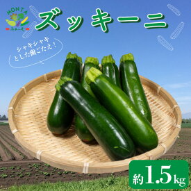 【ふるさと納税】 野菜 ズッキーニ 約 1.5kg 朝どれ 産地直送 夏野菜 サラダ 肉巻き BBQ 徳島県 阿波市