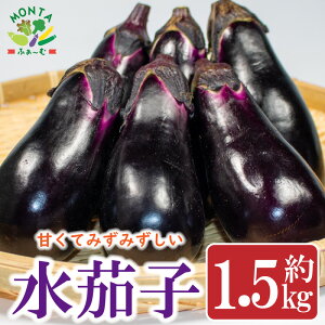 yӂ邳Ɣ[Łz  Ȃ ֎q  1.5kg ǂ Yn Ė Е   gs