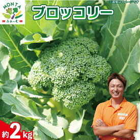 【ふるさと納税】 ブロッコリー 約2kg 野菜 やさい 国産 朝採れ 新鮮 旬 季節野菜 産地直送 鮮度抜群 サラダ スープ 味噌汁 鍋 シチュー カレー 和食 洋食 中華 栄養 ビタミン 美容 健康 冷蔵 お取り寄せ グルメ 送料無料 徳島県 阿波市 MONTAふぁ～む