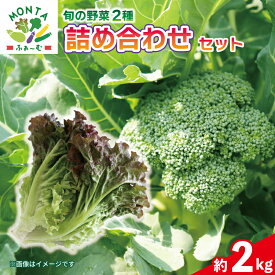 【ふるさと納税】 野菜 ブロッコリー サニーレタス 約2kg 詰め合わせ セット 先行予約 《2026年11月から順次発送》 野菜 やさい 国産 朝採れ 新鮮 旬 季節野菜 産地直送 鮮度抜群 和食 洋食 中華 ビタミン 冷蔵 お取り寄せ グルメ 送料無料 徳島県 阿波市 MONTAふぁ～む寄附