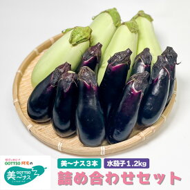 【ふるさと納税】 野菜 夏野菜 なすび 茄子 美～ナス 3本 水茄子 約1.2kg 詰め合わせ セット 白ナス 翡翠茄子 朝どれ 産地直送 漬物 浅漬 天ぷら 徳島県 阿波市