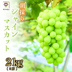 【ふるさと納税】 シャインマスカット 2kg 先行予約 ＜出荷時期：2024年8月下旬～2024年9月下旬頃＞フルーツ ぶどう 葡萄