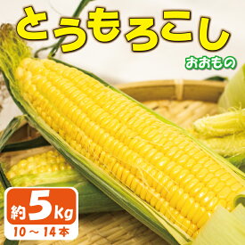 【ふるさと納税】 とうもろこし スイートコーン おおもの 約 5kg 《2024年6月～順次発送》 野菜 サラダ 新鮮 秋採れ バーベキュー 生産者直送 徳島県 阿波市 四国