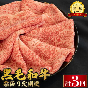 yӂ邳Ɣ[Łz јa   ~ a Ƃ܎Or[t g イɂ   ₫ Ă  ē Ԃ r[t BBQ AEghA Lv  