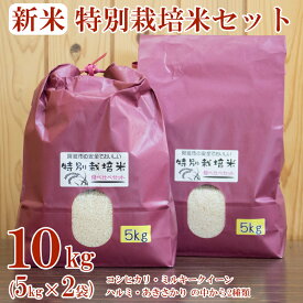 【ふるさと納税】 コシヒカリ 特別栽培米 食べ比べ セット 計10kg ミルキークイーン ハルミ精米 あきさかり 令和5年産 お米 お米 精米 ライス 徳島県 阿波市