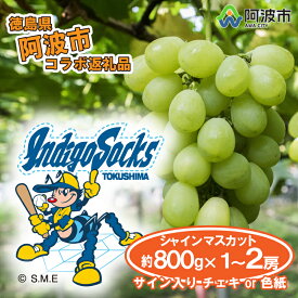 【ふるさと納税】 シャインマスカット 800g 1房 2房 選べる 徳島 インディゴソックス コラボ サイン入り チェキ 色紙 セット 野球 四国アイランドリーグ 徳島インディゴソックス