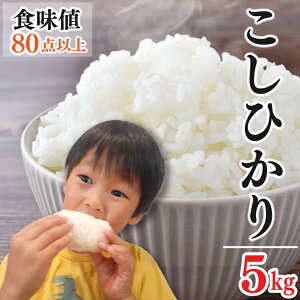 yӂ邳Ɣ[Łz  RVqJ 5kg Pi  ߘa7NY    ͂ ɂ  Hi ~ ~ ۑ h Mtg  v[g  O   