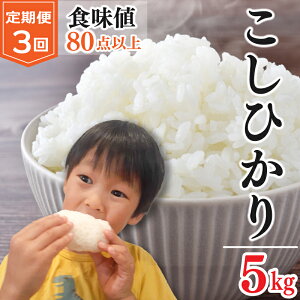 yӂ邳Ɣ[Łz  RVqJ 5kg Pi  ߘa7NY    ͂ ɂ  Hi ~ ~ ۑ h Mtg  v[g  O   