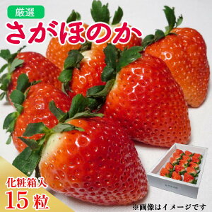 yӂ邳Ɣ[Łz  嗱 15 ق̂ 420g ϔ Iׂ 2025N1 2 3   Xgx[ ʕ t[c P[L t[cTh 啟 W Â lC 