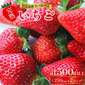 yӂ邳Ɣ[Łz s\ 󂠂  Hה 2i Zbg v500g (250g×2pbN) n  Cx[ X^[iCg ق 悢Ђ ܂Ƃ Xgx[ 䕑啟 s K