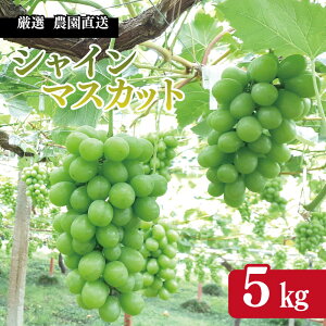 yӂ邳Ɣ[Łz VC}XJbg 2kg / 5kg s 2025N 8 {   t s\ t[c Ԃǂ  Ԍ { Yn _ƒ Y  ƒp Mtg _ Ԃǂ 