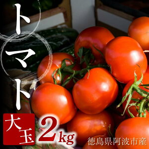 yӂ邳Ɣ[Łz g}g  2kg  ₳ g}g W[X pX^ XpQeB[ \[X T_ hbVO ThCb` no[K[ sU J[  O  