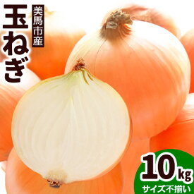 【ふるさと納税】玉ねぎ 野菜 10kg サイズ不揃い 有限会社美馬グリーンサービス《6月下旬‐9月上旬出荷》たまねぎ 徳島県 美馬市 送料無料