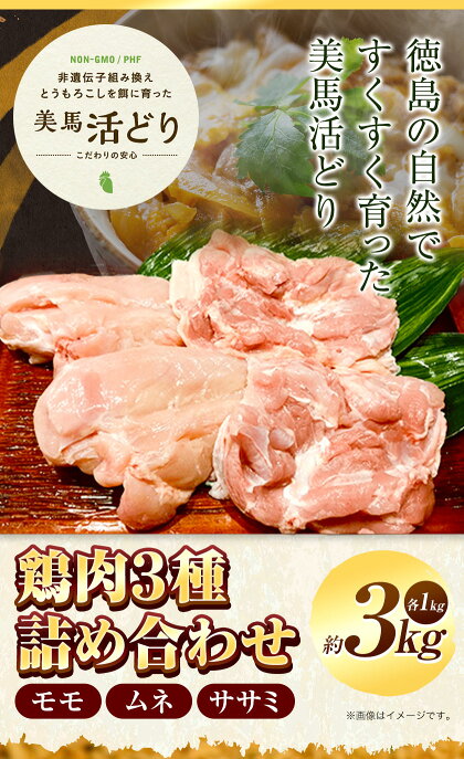 アイテムID:598396の画像2枚目