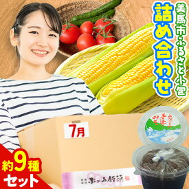 【ふるさと納税】ふるさと小包詰め合わせ7月 約9種セット 美馬市ふるさと小包推進協議会《7月上旬-7月下旬頃出荷》夏 夏野菜 スイートコーン 新鮮 ブルーベリー 味噌 和菓子 饅頭 季節の野菜 お試し フルーツ 野菜 名産品 送料無料 徳島県 美馬市