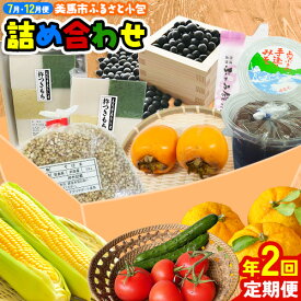 【ふるさと納税】【計2回定期便】ふるさと小包詰め合わせ 年2回 7月・12月便 美馬市ふるさと小包推進協議会《年2回定期便：7月出荷、12月出荷》 スイートコーン ブルーベリー 手作りあられ 味噌 和菓子 饅頭 杵つきもち そば米 黒大豆 干し芋 芋へぎ ゆず