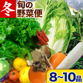 【ふるさと納税】＜先行予約＞ 旬の新鮮な野菜便 12月冬便 8〜10品 アグリサポート美馬《12月上旬-12月末頃出荷》徳島県 美馬市 冬野菜 白菜 かぶら キャベツ 愛宕柿 柚子玉 大根 里芋 玉葱 野菜 青果物 送料無料
