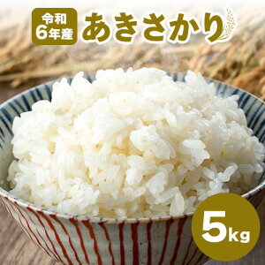 yӂ邳Ɣ[Łzߘa6NY  Ic  5kg GCR[t@[ s30ȓɏoח\(yj)t͂     ns