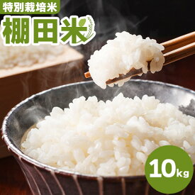 【ふるさと納税】米 棚田米 10kg 特別栽培米 エイコーファーム 《30日以内に出荷予定(土日祝除く)》ごはん こめ ご飯 精米 徳島県 美馬市