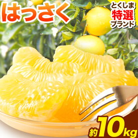 【ふるさと納税】 八朔 はっさく 約10kg 仕出原八朔生産組合《2027年2月上旬‐3月上旬頃出荷》| とくしま特選ブランド 徳島県 美馬市