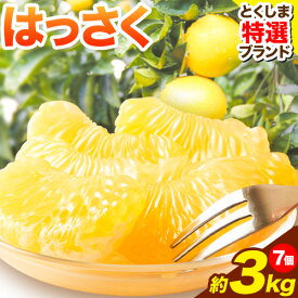【ふるさと納税】八朔 はっさく 約3kg 7個 仕出原八朔生産組合《2027年2月上旬‐2027月3月上旬頃出荷》| とくしま特選ブランド 徳島県 美馬市