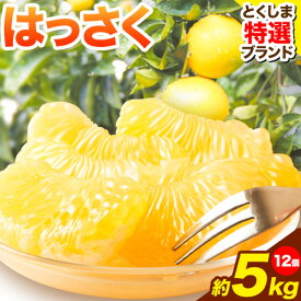 【ふるさと納税】 八朔 はっさく 約5kg 12個 仕出原八朔生産組合《2027年2月上旬‐3月上旬頃出荷》| とくしま特選ブランド 徳島県 美馬市