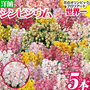 yӂ邳Ɣ[Łz s\  m VrWE Iׂ 3{ 4{ 5{  ͖상N ݂فs12{]3{oׁt  m VrW[ E   LO 