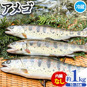 yӂ邳Ɣ[ŁzAS 1kg Iׂ   Ȃ ؉W{s4{-10{o(yj)t yzsn悠zkCEE@ ns 싛 AS 