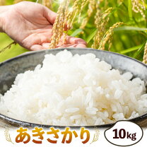 楽天市場】米30kg あきさかりの通販 アキサカリ米 30キロ