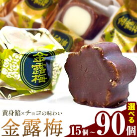 【ふるさと納税】 和菓子 黄身餡子 チョコレート 金露梅 選べる 15個 30個 45個 60個 90個 あづまや製菓有限会社 《30日以内に出荷予定(土日祝除く)》 徳島県 美馬市 阿波 郷土銘菓 自家製黄身餡 チョコ 名誉総裁賞 茶道家元賞 贈り物 お茶請け