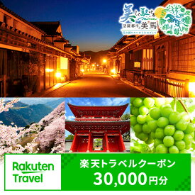 【ふるさと納税】徳島県美馬市の対象施設で使える楽天トラベルクーポン 寄附額100000円