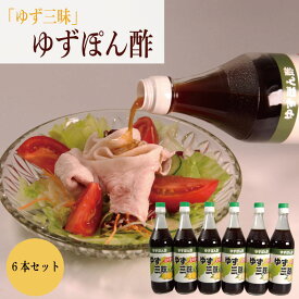 【ふるさと納税】 ゆず ぽん酢 柚子 ポン酢 500ml 6本 果汁 柑橘 みかん 鍋 刺身 サラダ 豆腐 肉 調味料 健康 名物 母の日 父の日 贈り物 ギフト 贈答 プレゼント 徳島県 三好市 みよし miyoshi