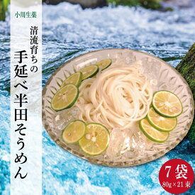 【ふるさと納税】 そうめん 半田そうめん 7袋 1680g ( 80g × 21束 ) 手延べ 素麺 主食 夏 イベント 母の日 父の日 贈り物 お中元 お歳暮 ギフト 贈答 プレゼント アレンジ パスタ 麺 めん 流しそうめん 徳島県 三好市 みよし 小川生薬