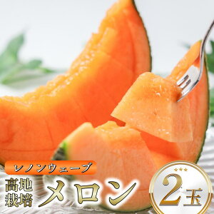 yӂ邳Ɣ[Łz  s\ 1 2 Iׂi ԓ  ϔ Y t[c ʕ { G I  lC fU[g Mtg v[g   mEF[u ^J~ 