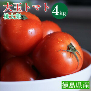 yӂ邳Ɣ[Łz g}g 4kg x ʃg}g Y VN { G 蕨 Mtg  v[g  ٓ  T_ g}gW[X tomato  ODs ݂悵 ODCؐ