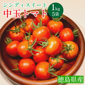 【ふるさと納税】 先行予約 7月出荷 トマト 高糖度 1kg 2kg 甘い 中玉トマト ミディトマト ミニトマト 新鮮 旬 季節 贈り物 ギフト 贈答 プレゼント 野菜 お弁当 おかず サラダ トマトジュース tomato 健康 徳島県 三好市 みよし 野呂内野菜生産加工組合 シンディスイート