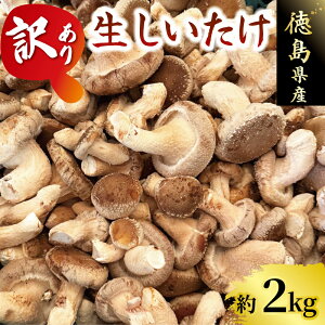 yӂ邳Ɣ[Łz 󂠂  2kg x ̂ LmR ő Xe[L   VC^P TCYs  _V Ă l  X` X[v  VN { H׉  